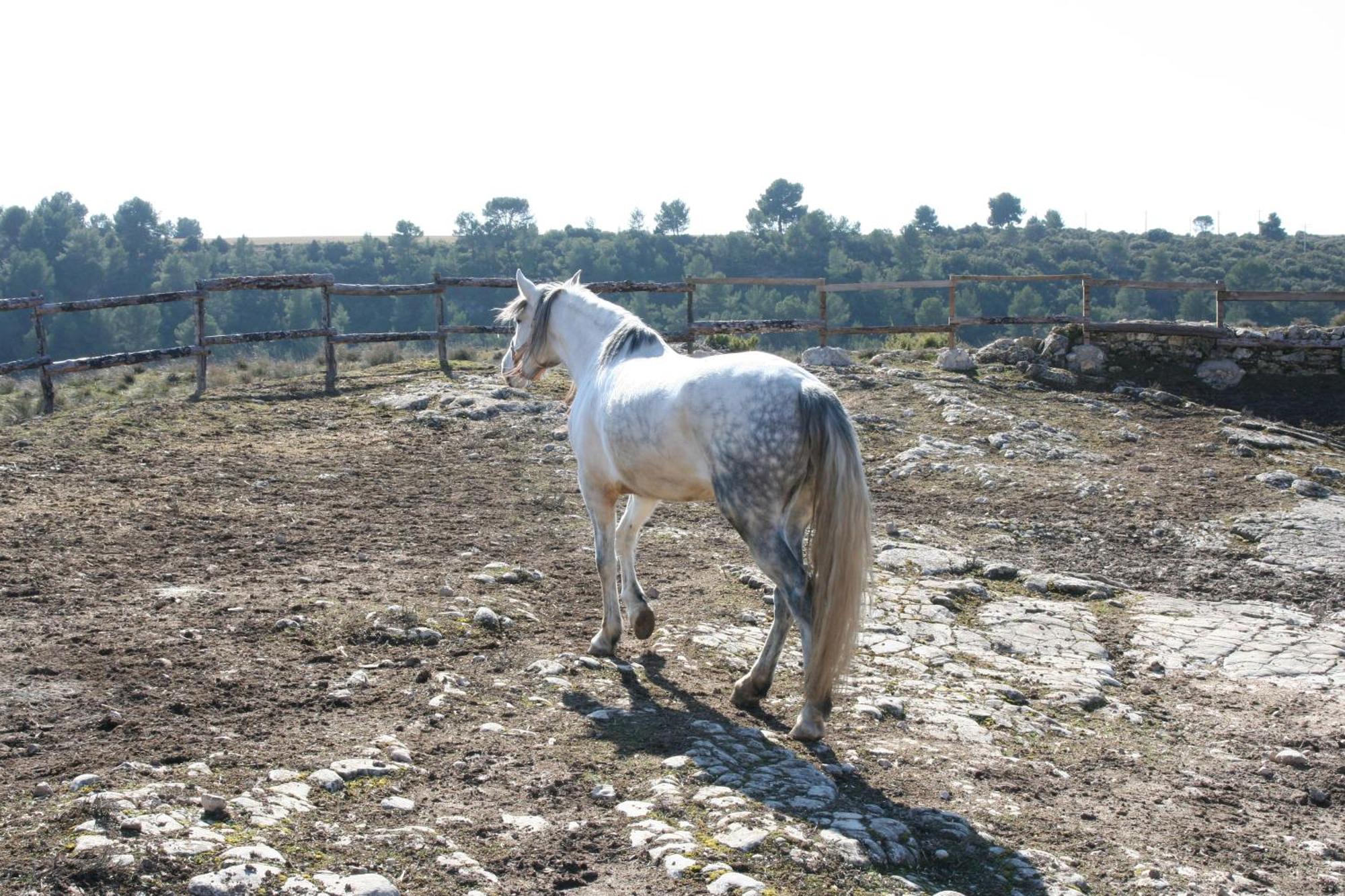 La Posada Del Hidalgo De Alarcón Zewnętrze zdjęcie